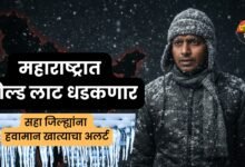 Maharashtra Cold Wave Alert: महाराष्ट्रात कोल्ड लाट धडकणार, सहा जिल्ह्यांना हवामान खात्याचा अलर्ट