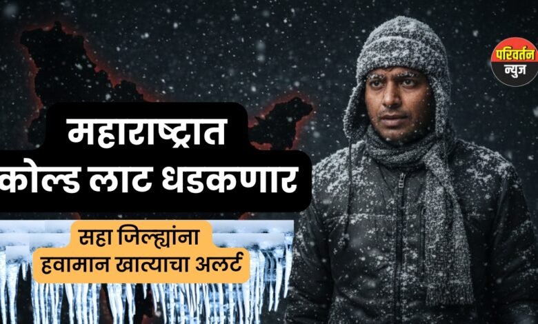 Maharashtra Cold Wave Alert: महाराष्ट्रात कोल्ड लाट धडकणार, सहा जिल्ह्यांना हवामान खात्याचा अलर्ट